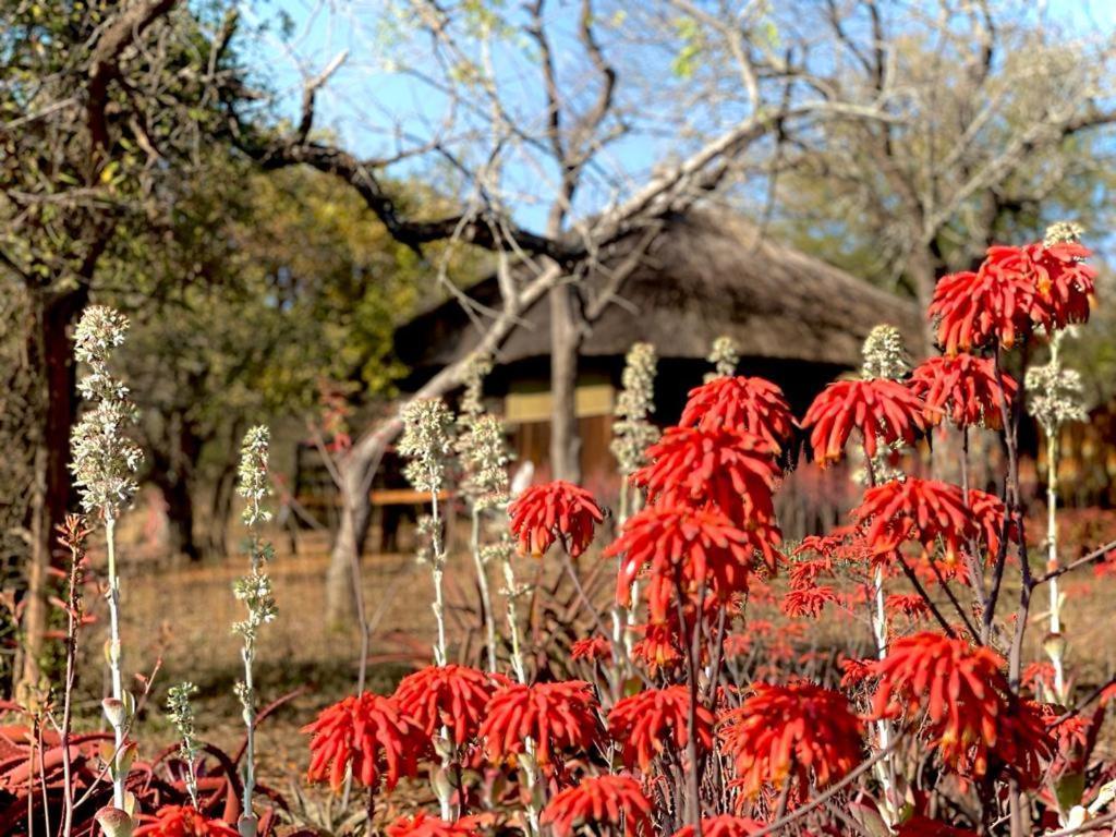 Shayamoya Tiger Fishing And Game Lodge Понгола Екстериор снимка
