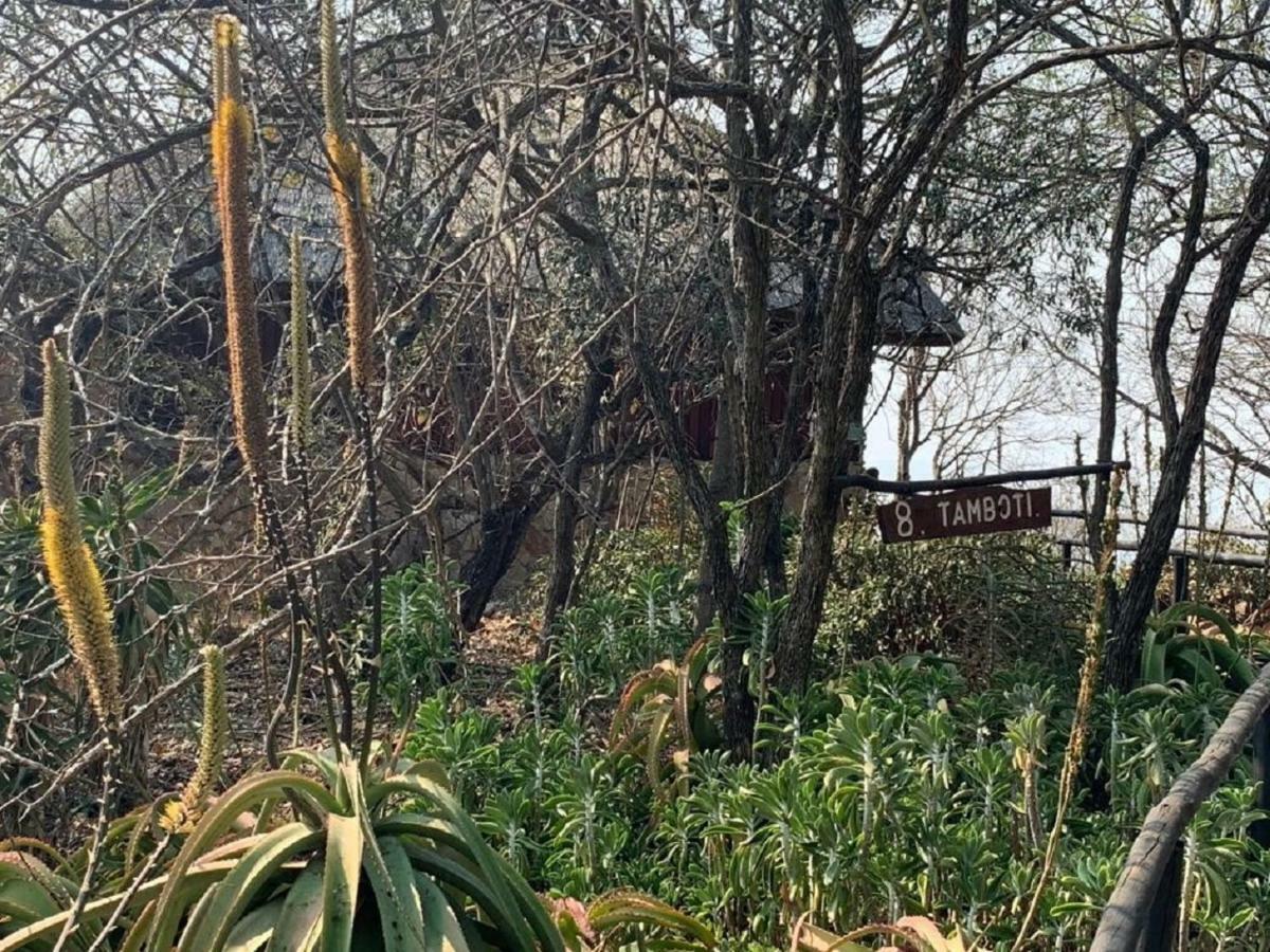 Shayamoya Tiger Fishing And Game Lodge Понгола Екстериор снимка